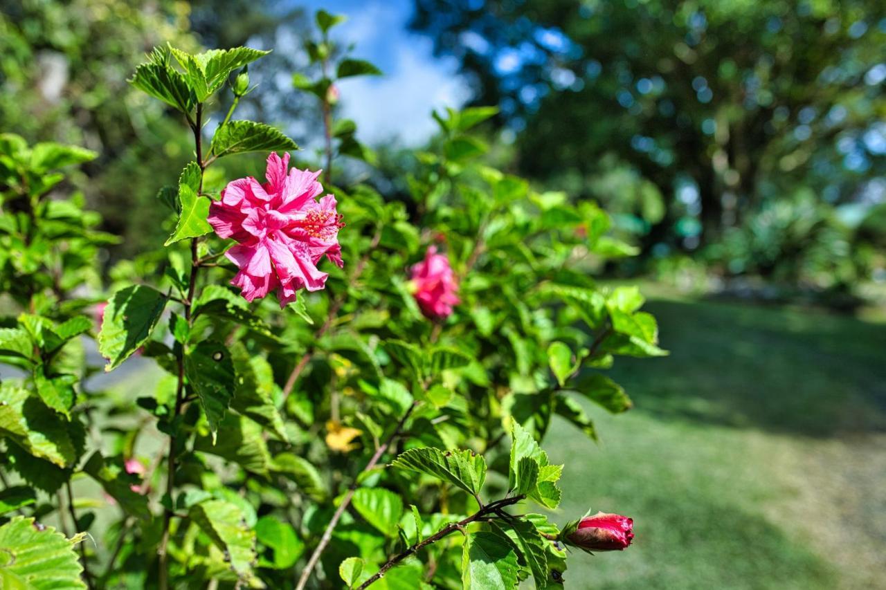Hotel Villa Zurqui San Isidro  エクステリア 写真
