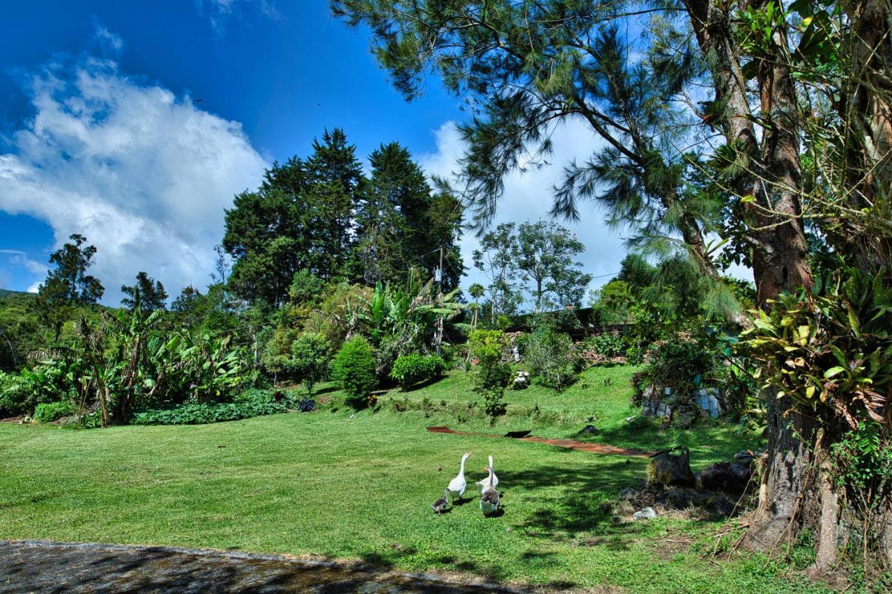 Hotel Villa Zurqui San Isidro  エクステリア 写真