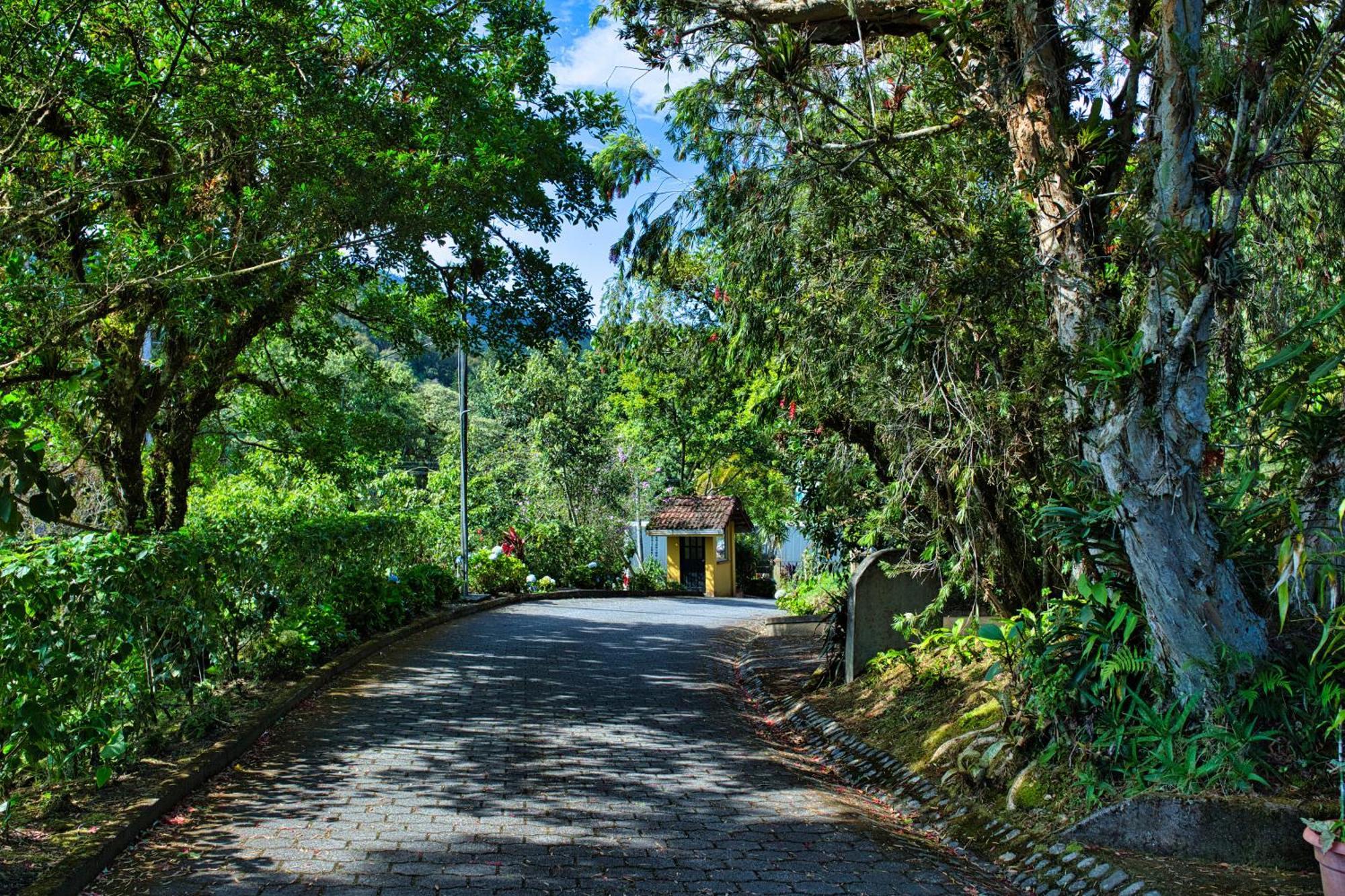 Hotel Villa Zurqui San Isidro  エクステリア 写真